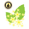 Picture of Inawera Elderflower Flavor