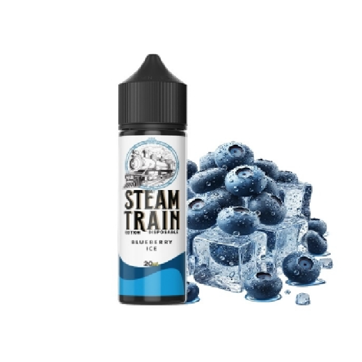 Εικόνα της Steam Train Disposable Edition Blueberry Ice 20/60ml
