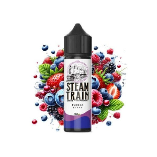 Εικόνα της Steam Train Forest Berry 20/60ml Disposable Edition