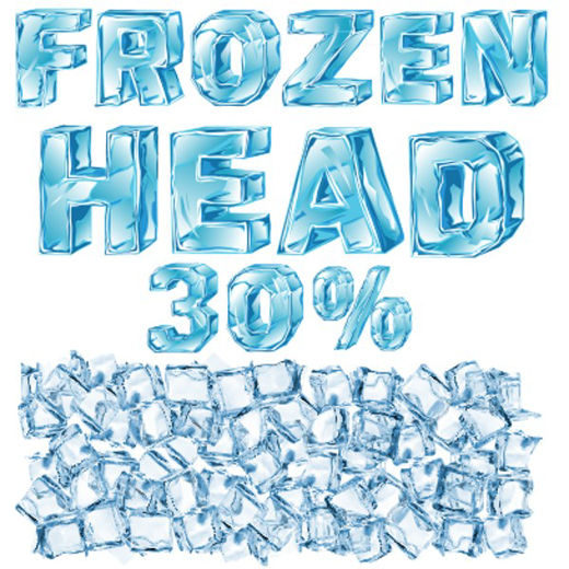 Εικόνα της Atmoslab Frozen Head Flavor 10ml