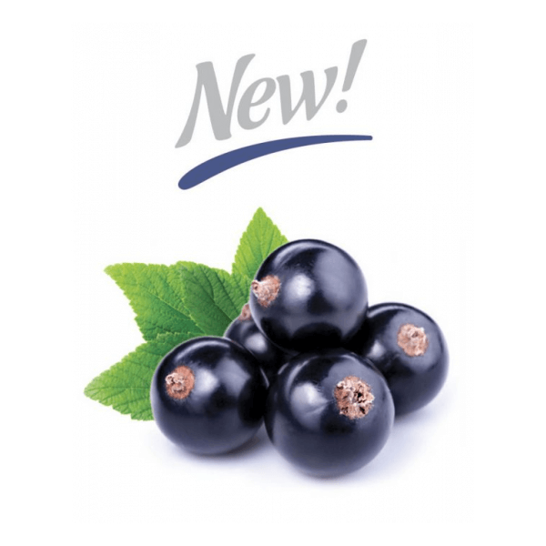 Picture of Capella Silverline Blackcurrant Flavor