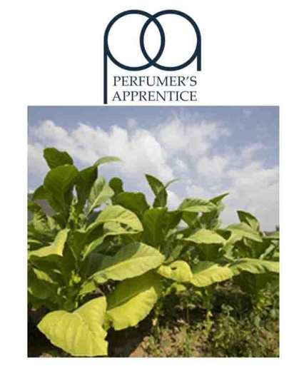 Εικόνα της TPA RY4 Asian Flavor 10ML