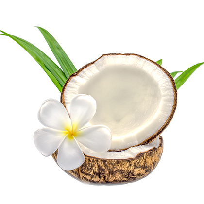 Picture of Atmoslab Cocopandan Flavor