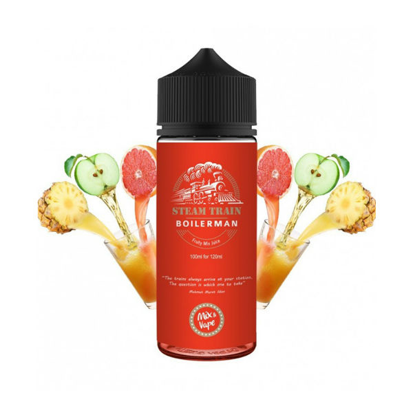 Picture of Steam Train Boilerman