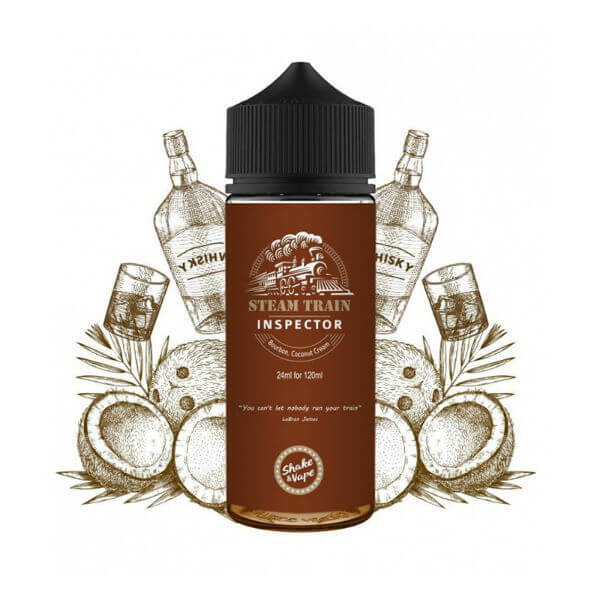 Picture of Steam Train Inspector