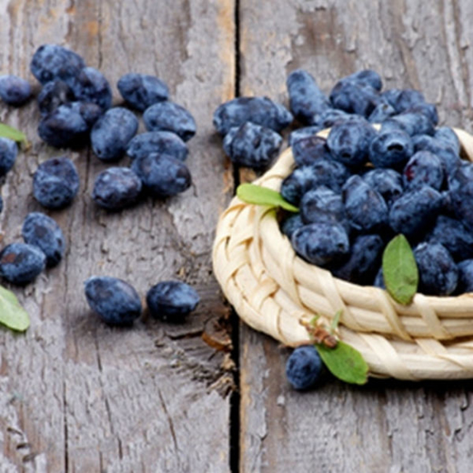 Εικόνα της TPA Huckleberry Flavor